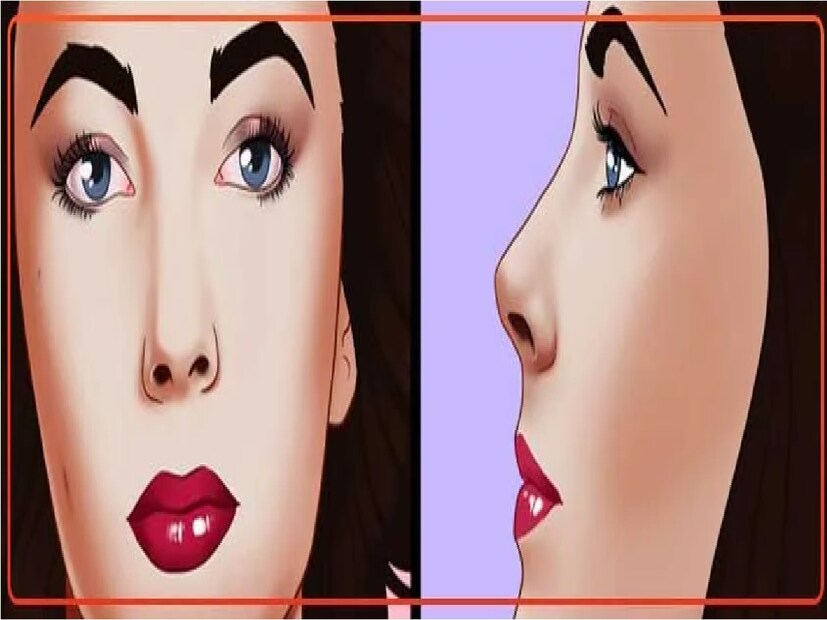 সামুদ্রিক শাস্ত্র অনুযায়ী যাঁদের নাক মোটা তাঁরা মজা করতে পছন্দ করেন৷ এঁরা কলাপ্রেমী হন, সাহিত্য -সংস্কৃতির প্রতি এঁদের আগ্রহ চোখে পড়ার মতো৷ নিজের গ্রুপের মধ্যে খুবই জনপ্রিয় হন, যেকোনও আসরের মজা জমিয়ে দিতে পারেন এঁরা৷ এঁদের হাতে থাকে প্রচুর কাঁচা টাকা৷ জীবনের থেকে কিছু আলাদাই চান এঁরা৷ এঁদের ব্যবহার নজর কাড়া হয়৷