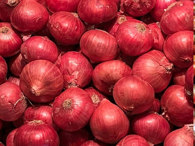 Best Onions: তবে পেঁয়াজের সুন্দরী বা সুন্দরী পেঁয়াজ নাকি নাসিকে পাওয়া যায়। এই দাবি ব্যবসায়ীদের। শিয়ালদহ পেঁয়াজের মার্চেন্ট বিশাল চন্দ মনে করেন, হাঁসখালির পেঁয়াজ গোল হয়। পশ্চিমবঙ্গের অন্যান্য পেঁয়াজের আকার লম্বাটে, একটু বাঁকা ধরনের। 