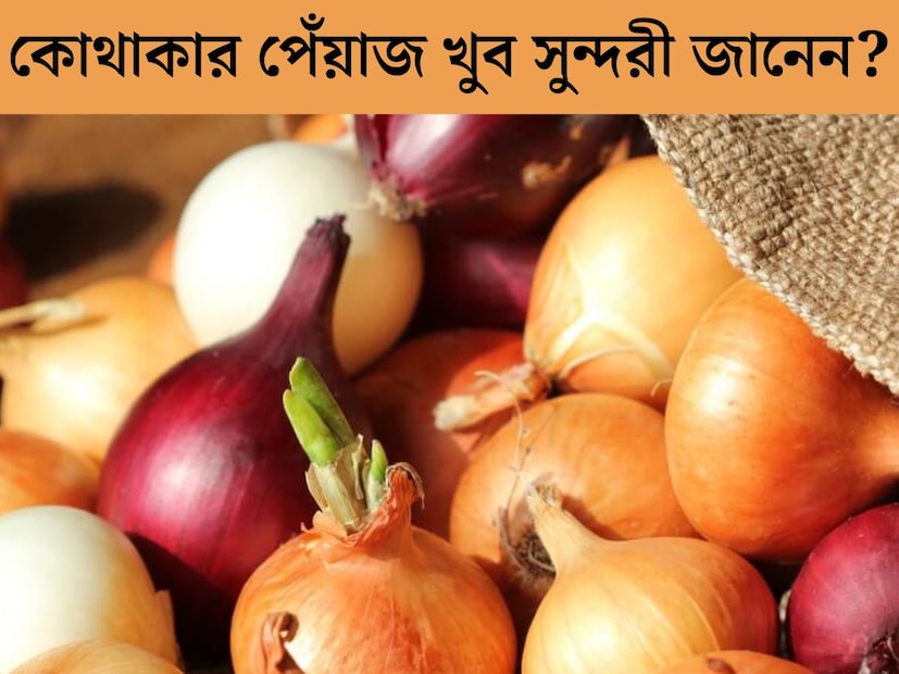 Best Onions: বাজারে পেঁয়াজ নিয়ে সমস্যার সমাধান এখনও পর্যন্ত হয়নি। নতুন পেঁয়াজ উঠে গিয়েছে। ১৫ দিনের মধ্যে পশ্চিমবঙ্গের পেঁয়াজ বাজারে চলে আসবে। আমাদের রাজ্যে মূলত নদীয়াতে বেশি করে পেঁয়াজ চাষ হয়। তার মধ্যে হাঁসখালির পেঁয়াজ ভাল দাবি করেন ব্যবসায়ীরা।