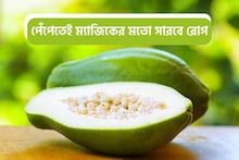 নানা উপকারিতায় ভরা কাঁচা পেঁপের গুণ শুনলে মাথা ঘুরে যাবে