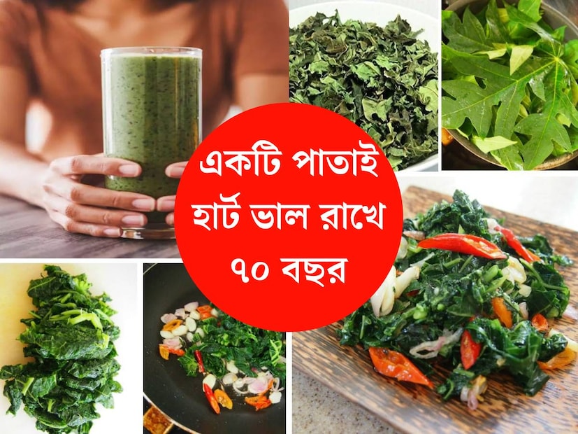 Health Tips: এ কেবল একটি গাছ নয়, যেন ওষুধ। পাকস্থলী থেকে হৃদপিণ্ড পর্যন্ত, শরীরের একাধিক অংশকে সুস্থ রাখে এই একটি গাছ। হাজার হাজার স্বাস্থ্যকর উপকারিতা রয়েছে।