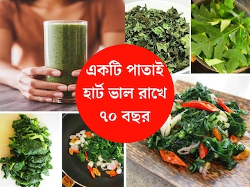 কেবল ১টি পাতা..সিদ্ধ খান বা রেঁধে, হার্ট ভাল রাখে ৭০ বছর! ডায়াবেটিস সারান সস্তায় কেবল ১টি পাতা..সিদ্ধ খান বা রেঁধে, হার্ট ভাল রাখে ৭০ বছর! ডায়াবেটিস সারান সস্তায়