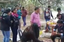 শীতের পিকনিকের মাঝেই অবাক করা কাণ্ড! রইল ভিডিও