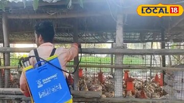 পোল্ট্রি