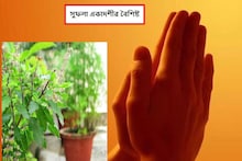 সফলা একাদশী, ভুলেও তুলসী পাতা ছিঁড়বেন না,জীবনে অন্ধকার নেমে আসবে,ক্ষতি মারাত্মক