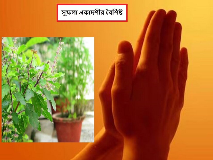 একাদশীর উপবাস অত্যন্ত গুরুত্বপূর্ণ বলে মনে করা হয়। ভগবান শ্রী বিষ্ণুকে উৎসর্গ করা হয় একাদশীর উপবাস। প্রতি মাসেই একাদশীর উপোস থাকে৷ পৌষ মাসের কৃষ্ণপক্ষের একাদশী সফলা একাদশী নামে পরিচিত। সমস্ত কাজে সাফল্য আনতে এবং ইচ্ছা পূরণ করার জন্য পালিত হয় সফলা একাদশী।