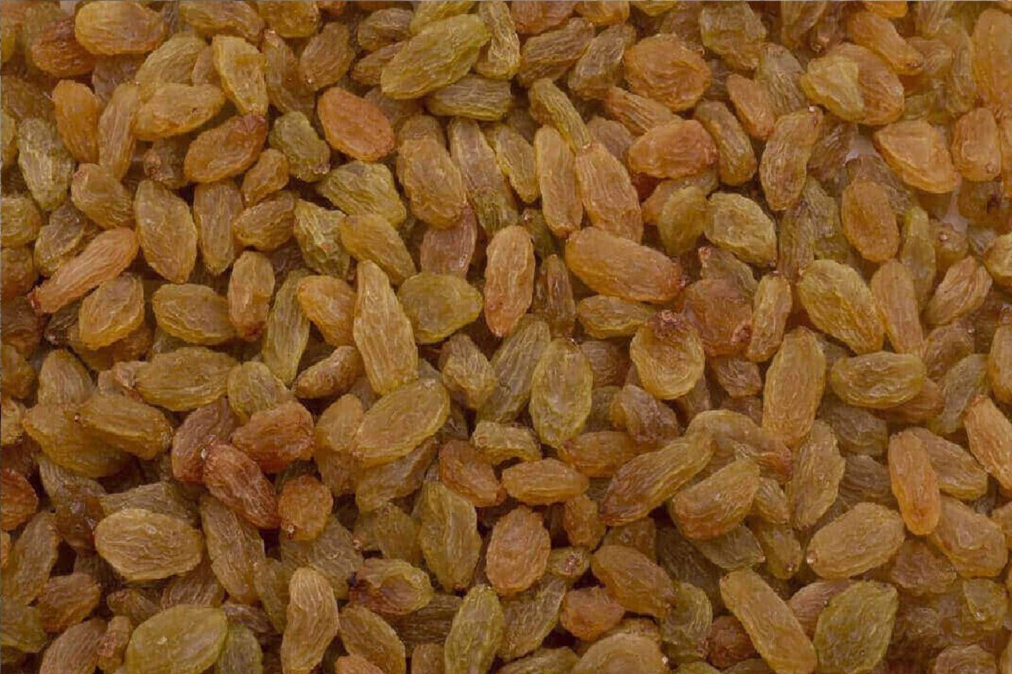 রোজ সকালে খালি পেটে খান সস্তার এই জিনিস, গ্যাস অম্বল পালাবে! ওজনও কমবে দ্রুত