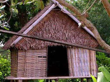 প্রতি রাতে আলাদা পুরুষের সঙ্গে যৌনতা, মেয়েরাই এরপর বাছে জীবনসঙ্গী!কোথায় এই গ্রাম