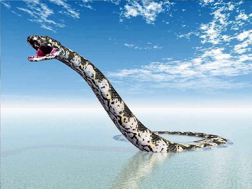 অ্যানাকোন্ডার নাম শোনেননি এমন মানুষ বোধ হয় কমই আছেন। এই বিরাটাকার সাপ নিয়ে যে সিনেমা হয়েছিল, সেটিও ব্যাপক জনপ্রিয় হয়। অ্যানাকোন্ডার নাম শোনেননি এমন মানুষ বোধ হয় কমই আছেন। এই বিরাটাকার সাপ নিয়ে যে সিনেমা হয়েছিল, সেটিও ব্যাপক জনপ্রিয় হয়।