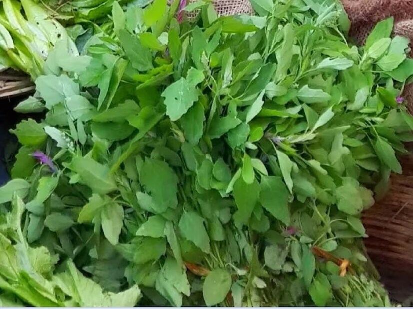 বথুয়া পরোটা বানানোর পদ্ধতি: বথুয়ার পরোটা তৈরি করতে প্রথমে বথুয়ার পাতা ভাল করে ধুয়ে কেটে নিতে হবে। এবার একটি প্যানে জল গরম করে এর মধ্যে বথুয়ার পাতা ও আলু দিয়ে খানিক্ষণ ফুটিয়ে নিতে হবে। এবারে প্যানটি ঢেকে রাখতে হবে এবং পাতা নরম না হওয়া পর্যন্ত সেদ্ধ করতে হবে। পাতা একবার সেদ্ধ হয়ে গেলে গ্যাস বন্ধ করে দিতে হবে। 