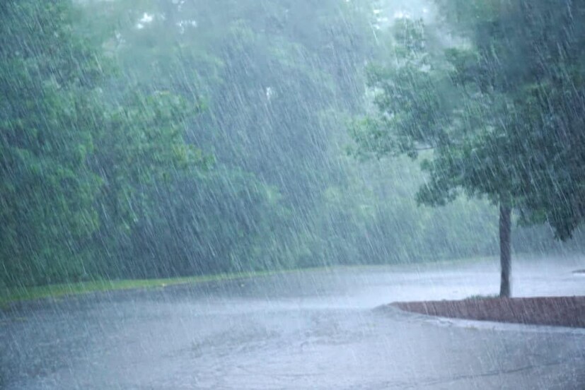 একদিকে উত্তরাঞ্চল যখন তীব্র শৈত্যপ্রবাহ এবং ঘন কুয়াশায় কাঁপছে, দেশের দক্ষিণাঞ্চলে বৃষ্টিপাতের সম্ভাবনা রয়েছে আজ।