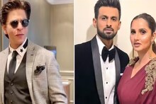 'বিয়ে কেন করেছিলে তোমরা?' সানিয়া-শোয়েবকে 'আসল' প্রশ্ন শাহরুখের, ভাইরাল ভিডিও