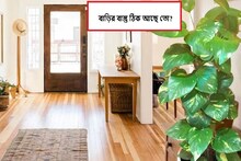 বাড়ির বাস্তু দোষে শরীরে মারণ রোগ!কঠিন ব্যাধি সারাতে এভাবে বদলান বাড়ির বাস্তু