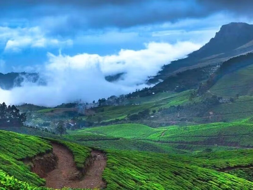 শিলিগুড়িতে রোদ, সঙ্গে উত্তুরে হাওয়া, পাশাপাশি থাকবে কনকন ঠাণ্ডা। তাপমাত্রা থাকবে ১১-১২ ডিগ্রি। বিকেলের পর ফের নামবে পারদ। তুষারপাতের  বিষয়ে কিছু জানানো হয়নি। 
