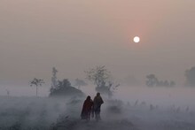 ঘন কুয়াশার দাপটে ব্যাহত যান চলাচল! সকালেও জ্বালাতে হচ্ছে হেড লাইট