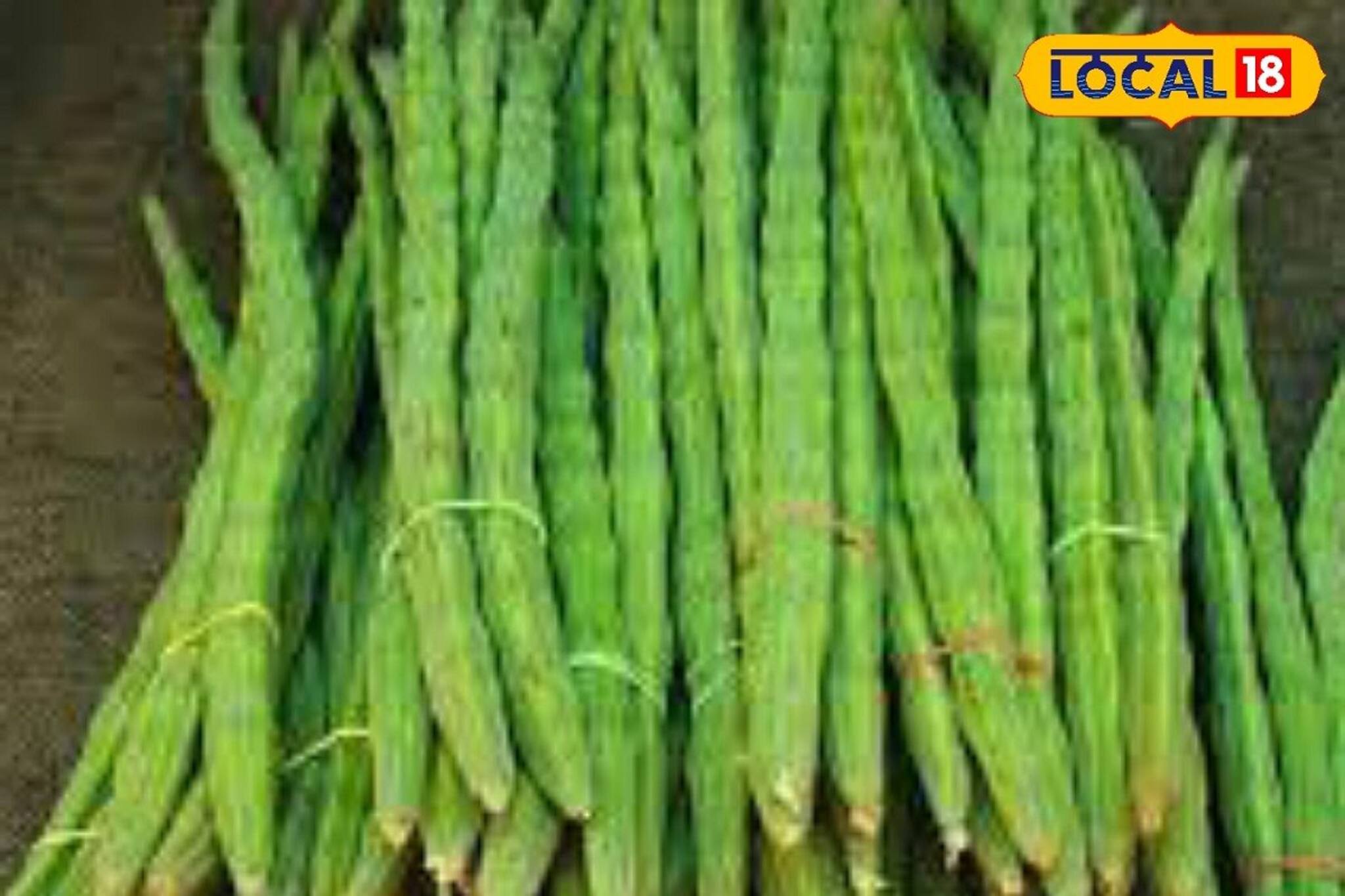 সজনে ডাঁটার উপকারিতা জানেন? বহু রোগের মহৌষধী! রোজ খান এই নিয়মে!