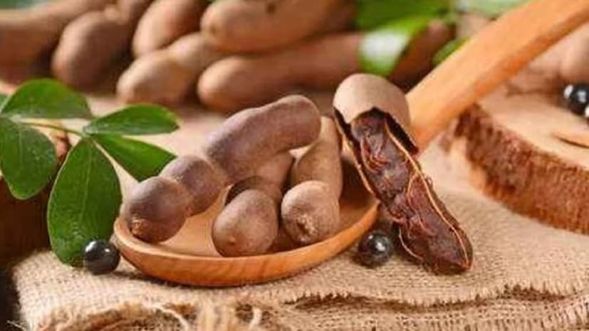 তেঁতুলের বীজে  ভিটামিন এবং ম্যাগনেসিয়াম এবং ভিটামিন বি 6 এর মতো খনিজ রয়েছে, যা মহিলাদের কামশক্তি বাড়াতে সাহায্য করে! শুধু পুরুষ নয় মহিলাদের জন্যও ভাল এই বীজ!  photo source collected 