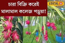 ফল নয়, এই গাছের চারা বিক্রি করেই মালামাল কলেজ পড়ুয়া! খুব সহজে চাষ করতে পারেন