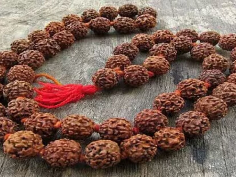 মিথুন রাশি: মিথুন রাশির জাতকদের জন্য চার মুখী বা এগারো মুখী রুদ্রাক্ষ পরিধান করা শুভ হবে বলেই মত তাঁর।