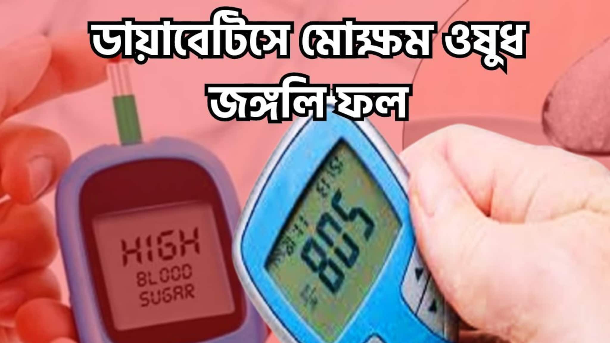 High Blood Sugar Control Tips: এক জঙ্গলি ফলেই ব্লাডসুগারে ভারী! মধুমেহর দফারফা, কোথা দিয়ে পালাবে পথ খুঁজে পাবেনা ডায়াবেটিস