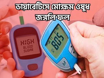 এক জঙ্গলি ফলেই ব্লাডসুগারে ভারী! মধুমেহর দফারফা, কোথা দিয়ে পালাবে পথ খুঁজে পাবে