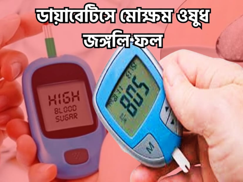 জঙ্গলি জিলিপির মতই দেখতে ৷ মূলত এটি পাওয়া যায় বনে জঙ্গলে ৷ এই ফল খেতে অত্যন্ত স্বাদে পরিপূর্ণ ৷ এবং অত্যন্ত পরিমাণে জরুরি ৷ প্রতীকী ছবি ৷ 