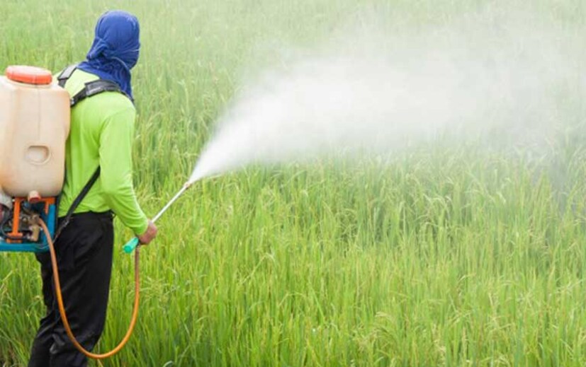 U.S. Department of Agriculture and the Food and Drug Administration-এর তরফে চালানো একটি সমীক্ষা চালানো হয়। ৪৬ রকম বিভিন্ন ফল ও সবজির ৪৬০০০ নমুনা সংগ্রহ করে পরীক্ষা করা হয়। দেখা যায়, এমন ১২ টি ফল ও সবজি রয়েছে, যাদের মধ্যে কীটনাশকের পরিমাণ সবচাইতে বেশি।