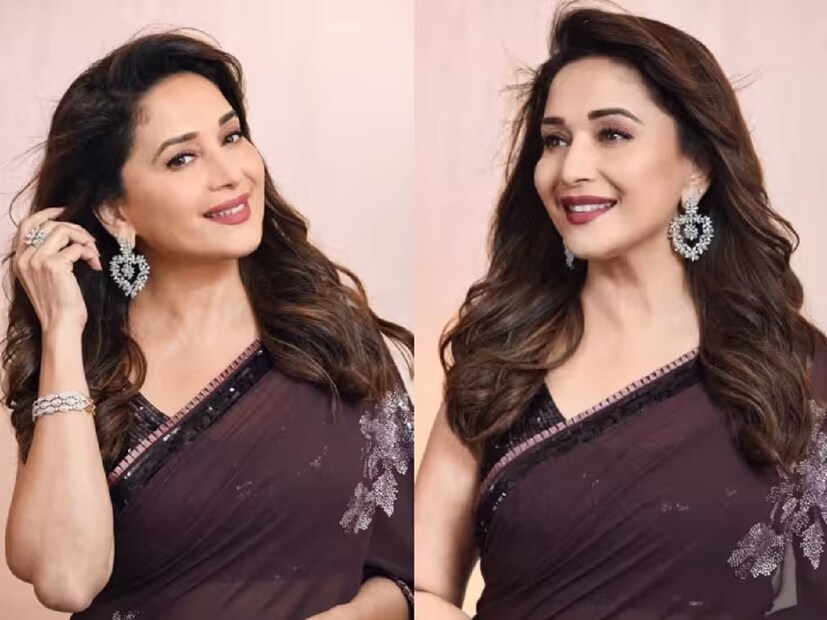 নিজের ব্যক্তিগত জীবন নিয়ে কথা বলতে খুব বেশি কথা বলেন না মাধুরী। তবে কীভাবে এই এনআরআই ভারতীয় ডাক্তারের প্রেমে পড়েছিলেন তিনি? 