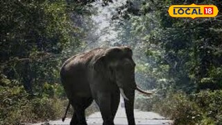 প্রতিকী ছবি প্রতিকী ছবি