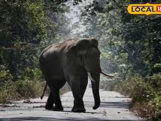 প্রতিকী ছবি