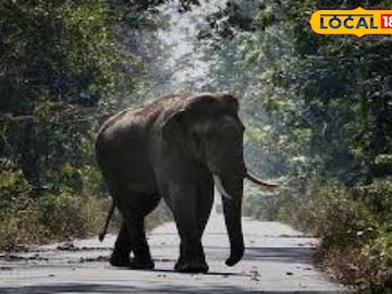 প্রতিকী ছবি