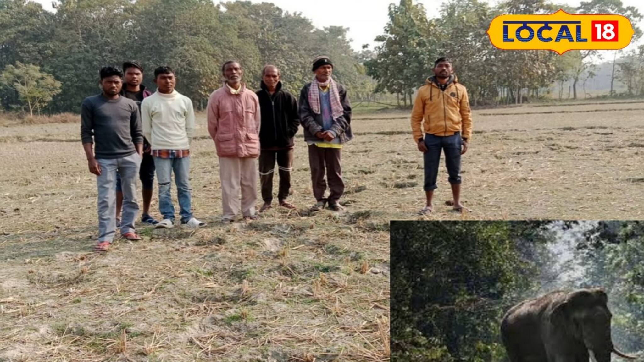 Farmers Crisis: পেটের ভাত কেড়েছে হাতি, চাষ ছেড়ে অন্য জীবিকার সন্ধানে কৃষকরা