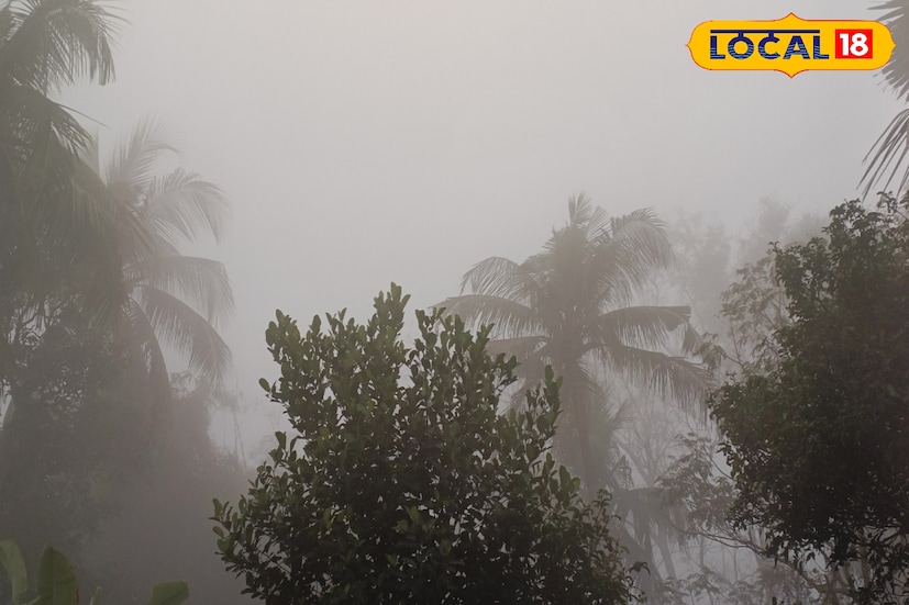 ফেব্রুয়ারির শুরু থেকেই বাতাসে বসন্তের ছোঁয়া। পূর্ব মেদিনীপুর জেলার দিঘা পাশাপাশি তমলুক, হলদিয়া, কাঁথি এগরা সর্বত্রই আগামী কয়েক দিন সকাল বেলা ঘন কুয়াশার প্রভাব দেখা যাবে। কুয়াশা পর রোদ ঝলমলে পরিবেশ থাকবে। বৃষ্টির কোনও পূর্বাভাস নেই। সর্বত্রই বাড়ছে সর্বনিম্ন তাপমাত্রা।