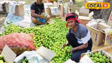 বাদুড়িয়ার