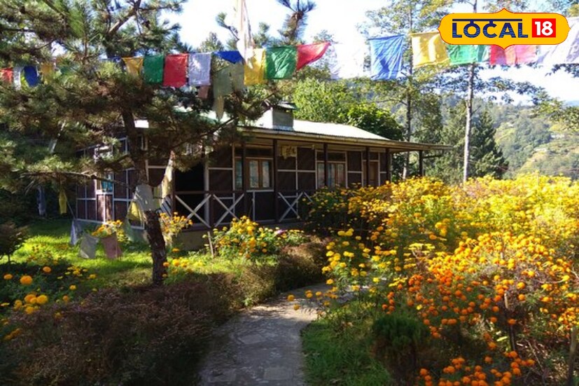 অসংখ্য নাম না জানা সব পাখিদের রাজত্ব এখানে। সকাল থেকে বিকেল পর্যন্ত পাখি দেখতে দেখতেই দিন গড়িয়ে যাবে। ছোট ছোট বাগানে ঘেরা হোম স্টে।