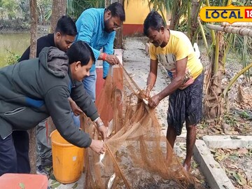 স্কুলেরই