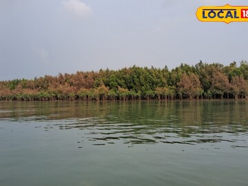 সুন্দরবন