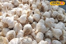 রসুনের দাম আকাশ ছোঁয়া! কেন বাড়ছে এত দাম? ফাঁস হল আসল রহস্য