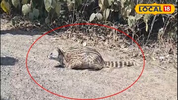 দুর্গাপুরে