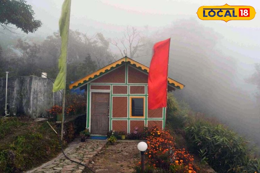 দিনের বেলায় যেমন কাঞ্জনজঙ্ঘার সুবিশাল রেঞ্জ আর নেওড়াভ্যালির একটা রোমাঞ্চকর ভিউ পাওয়া যায়। তেমনই তরাই এবং ডুয়ার্সের একটা ভিউ এখানে পাওয়া যায়।