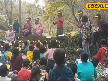 নেচার নেচার