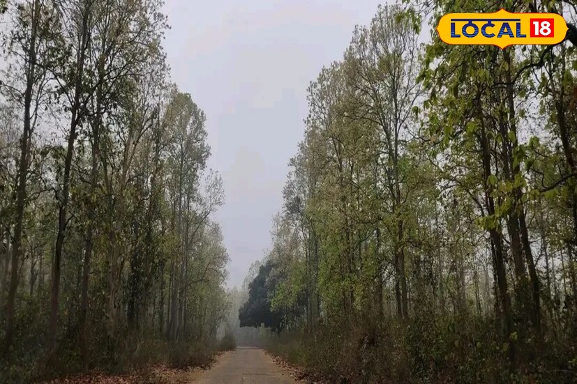 কিন্তু এই জায়গায় যেতে গেলে আপনাকে করতে হবে 