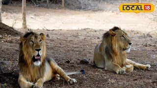 প্রতীকী ছবি প্রতীকী ছবি