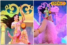 বিরাট রাজহাঁস! এতেই কি স্বর্গ থেকে মর্তে এলেন দেবী