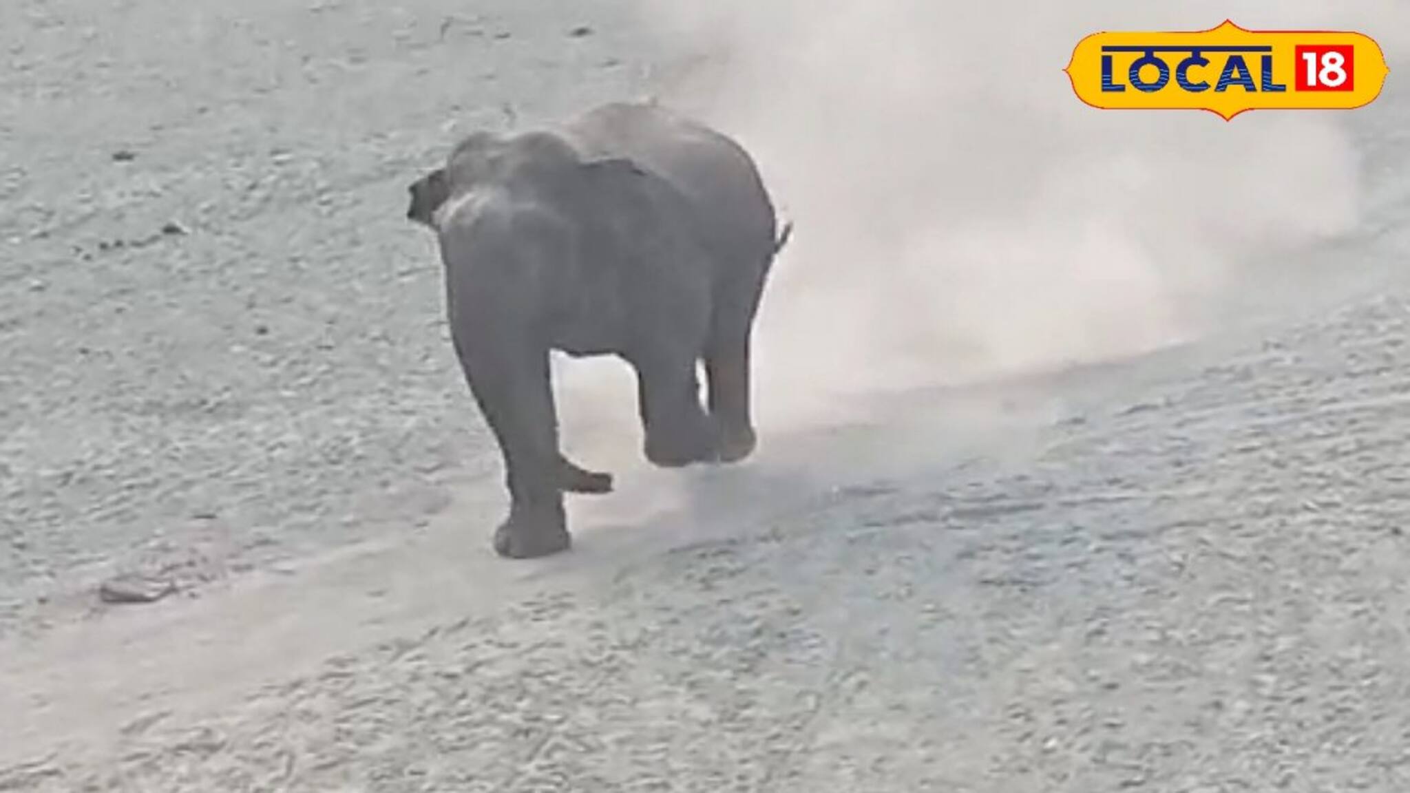 Higher Secondary Exam 2024: উচ্চ মাধ্যমিকের প্রথম দিনই ছড়াল হাতির আতঙ্ক! পরীক্ষাকেন্দ্রের কাছে ঘুরে বেড়াল দাঁতাল Higher Secondary Exam 2024: উচ্চ মাধ্যমিকের প্রথম দিনই ছড়াল হাতির আতঙ্ক! পরীক্ষাকেন্দ্রের কাছে ঘুরে বেড়াল দাঁতাল