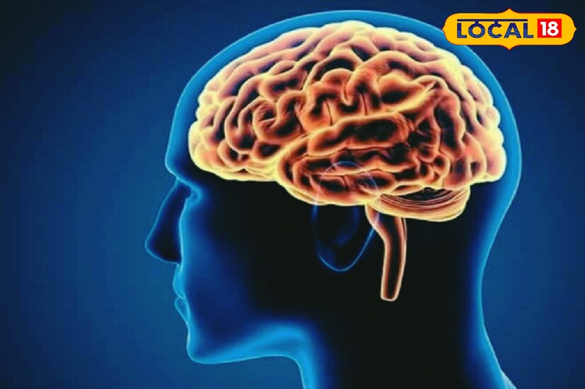 কাঠবাদামের মধ্যে পাওয়া যায় মস্তিষ্কের জন্য প্রয়োজনীয় দুটি পুষ্টিগুণ রিবোফ্লেভিন ও এল ক্যারনিটিন। উপাদান দুটি মস্তিষ্কের কার্যক্ষমতা বৃদ্ধি করতে সাহায্য করে। মনে রাখার ক্ষমতা বাড়িয়ে তোলে।