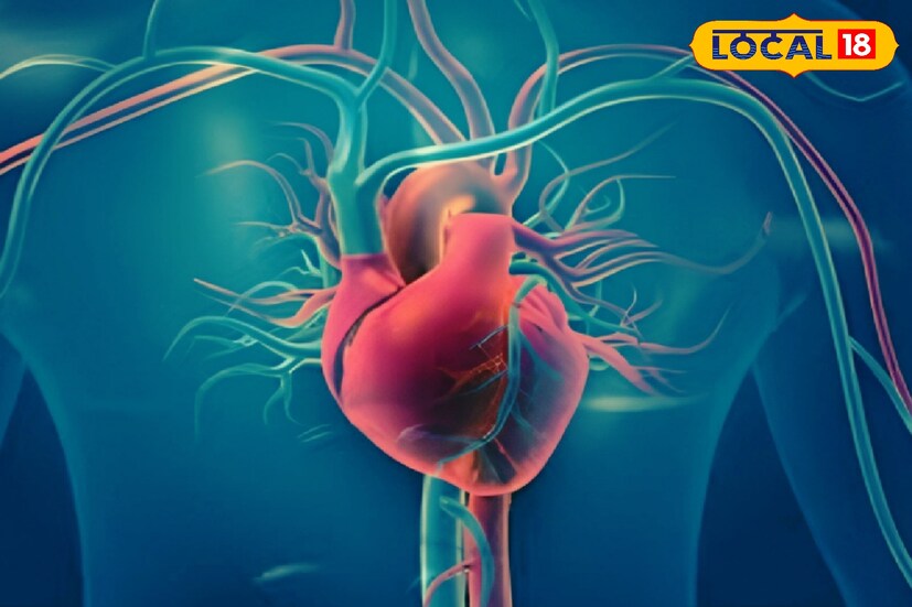 কাঠবাদামে থাকা ভিটামিন E হৃদরোগের ঝুঁকি কমাতে সাহায্য করে। এছাড়া এতে থাকা ম্যাগনেসিয়াম হার্ট অ্যাটাক প্রতিরোধে করতেও সাহায্য করে। শরীরের খারাপ কোলেস্টেরলের মাত্রা কমায় এটি।