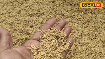 তুলাইপাঞ্জি