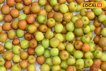 ক্যানসার-টিউমরের কোষের বিরুদ্ধে লড়ে, ঝরিয়ে দেয় বাড়তি ওজন! মরশুমে রোজ খান 'এই' ফল ক্যানসার-টিউমরের কোষের বিরুদ্ধে লড়ে, ঝরিয়ে দেয় বাড়তি ওজন! মরশুমে রোজ খান 'এই' ফল