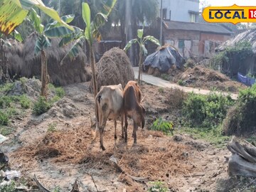 খোলা